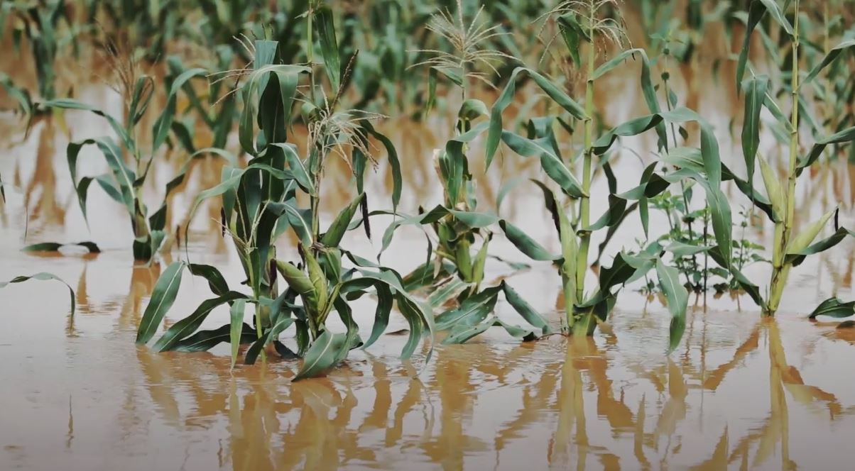 Burundi Flood Three Jan Jpg