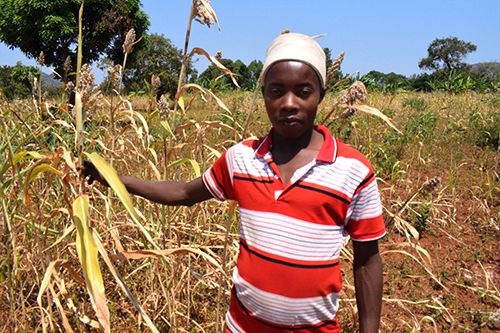 Connecting Farmers To Market2