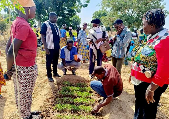Hortiplus Smallholder Farmers Burkina Faso1