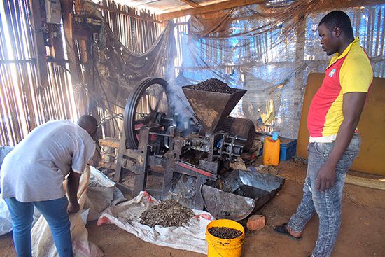 Palm Oil Production By Bogorwa Gr2 Nyanza Lac