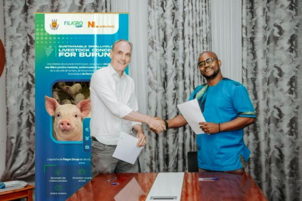 Burundi Pig Chain 1