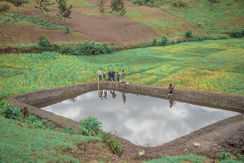 Fish Burundi 2